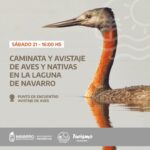 El próximo sábado, 21 de mayo, se realizará el segundo avistaje de aves en la Laguna.